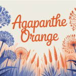 agapanthe orange illustration alternatives florales et couleurs