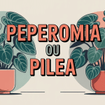 Illustration comparative peperomia vs pilea central plantes d'intérieur