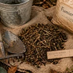 Quand mettre du fumier au jardin : fumier mûr, dosage pour éviter de brûler les racines