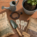 Que planter en juillet août fleurs : dahlia, rudbeckia et lavande en pots